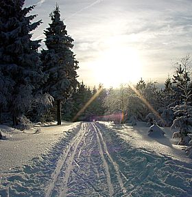 Winter in Satzung